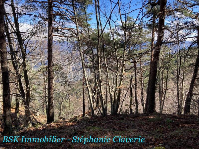 Terrain agricole - 10 100 m²