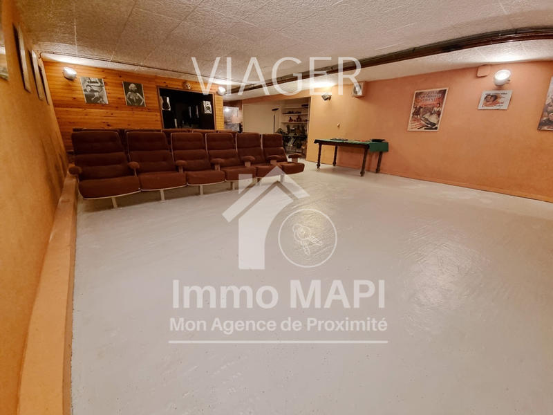 Viager - Maison - 478 m² - 14 pièces
