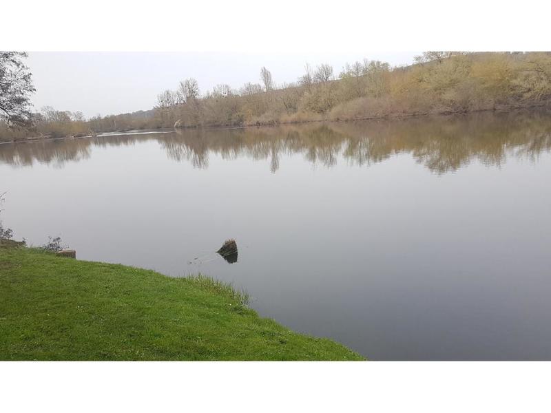 Maison - 38 m² - 2 pièces