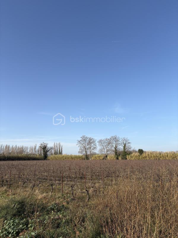 Terrain agricole - 35 235 m²