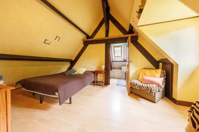 Moulin - 227 m² - 10 pièces