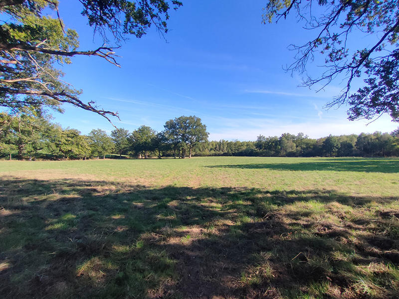 Terrain - 550 000 m²