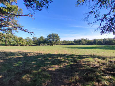 Terrain - 550 000 m²