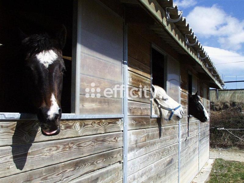 Maison - 400 m² - 13 pièces