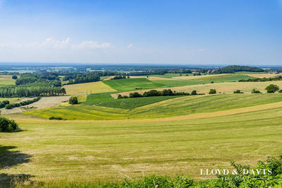 Maison - 230 m² - 13 pièces