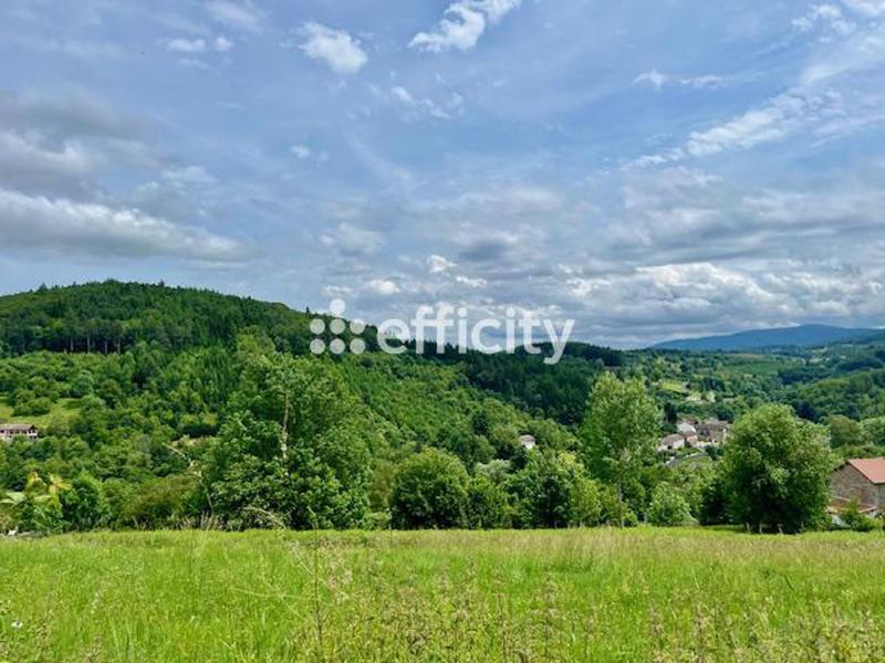 Terrain - 8 300 m²