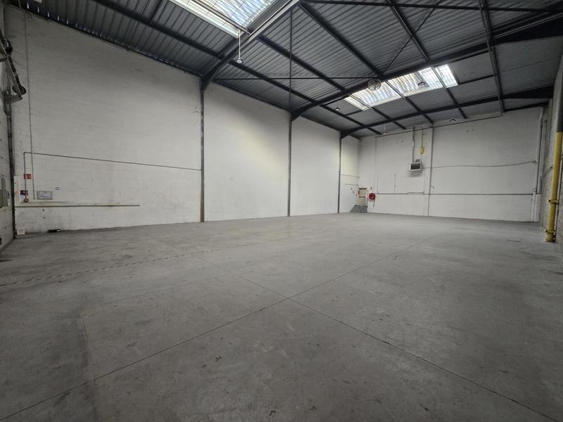 Local d'activités - 559 m²