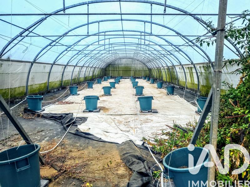 Terrain agricole - 11 990 m²