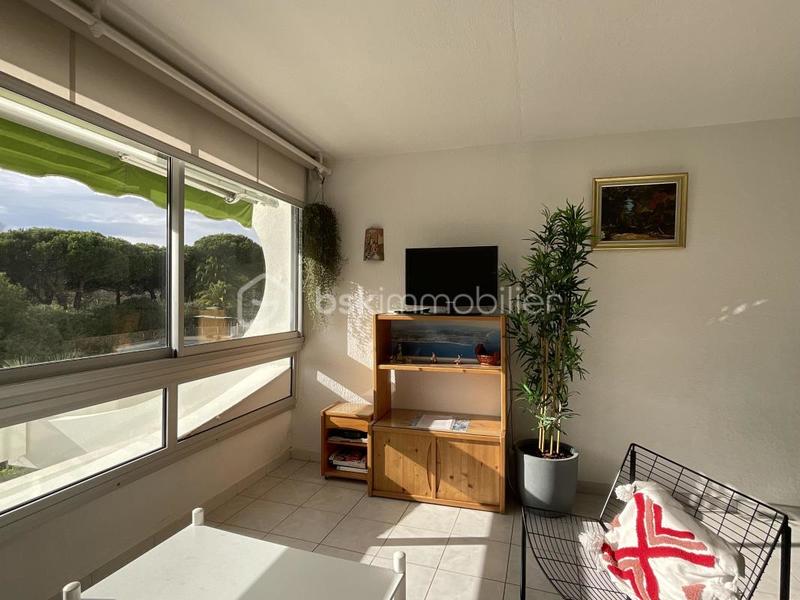 Studio - 24 m² - 1 pièce