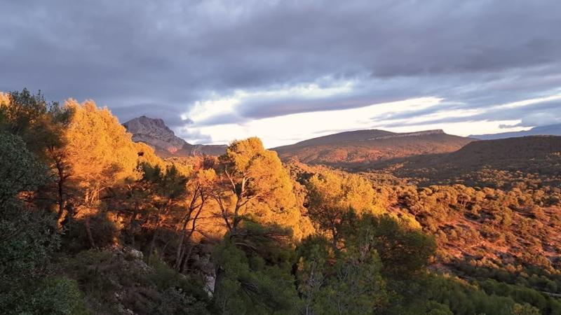 Un matin avec Cezanne à Bibémus