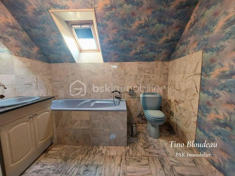 Maison ancienne - 305 m² - 13 pièces