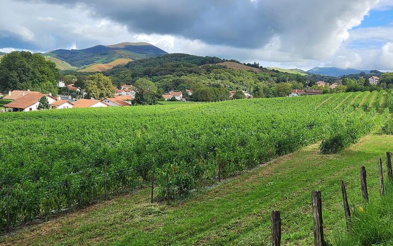 L’Atelier Découverte de la Ferme Kultur Piment
