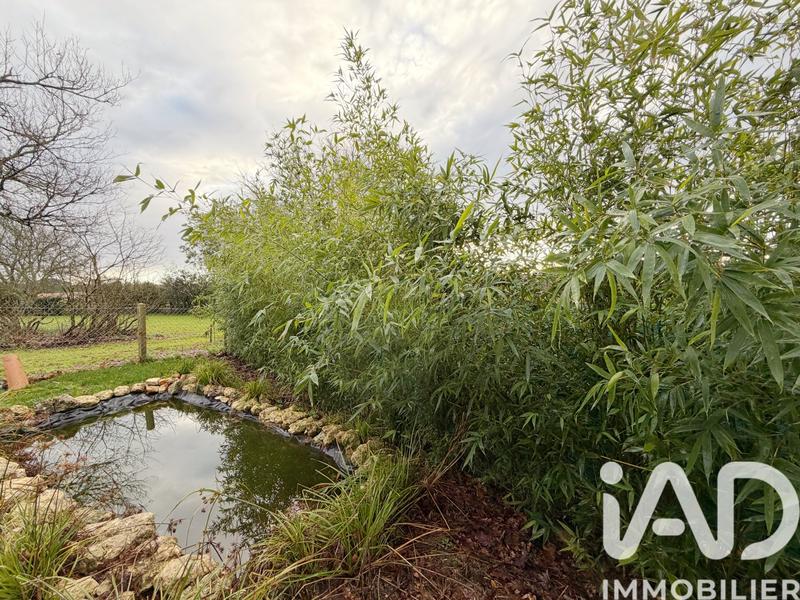 Maison - 115 m² - 5 pièces