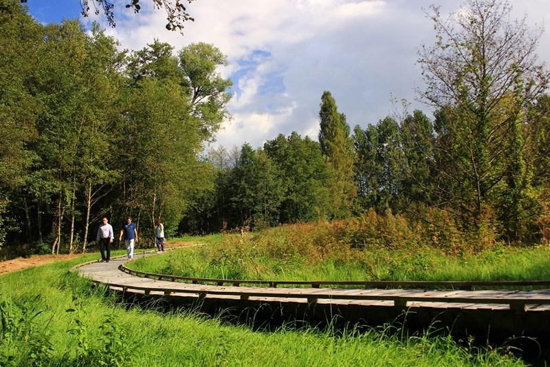 Balade nature - Assieds-toi et regarde les criquets chanter