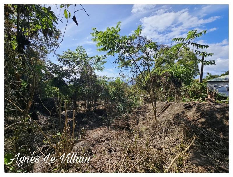 Terrain constructible - 1 041 m²