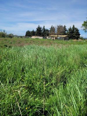 Terrain agricole - 2 452 m²
