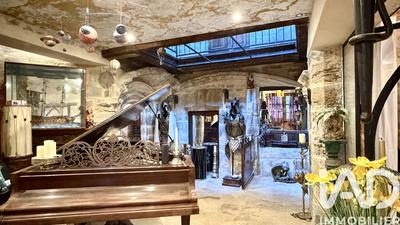 Château - 394 m² - 10 pièces