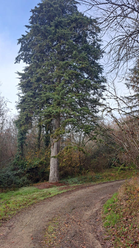 Maison - 70 m² - 2 pièces