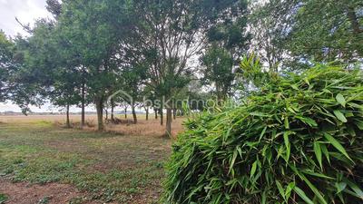 Pavillon - 95 m² - 5 pièces