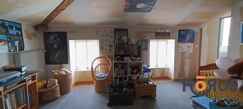 Viager - Maison - 395 m² - 8 pièces