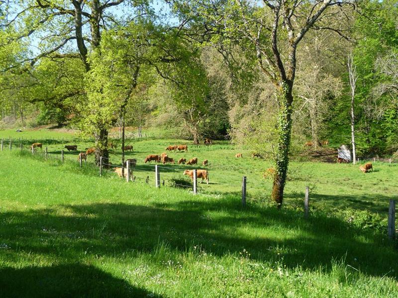 Maison - 60 m² - 4 pièces