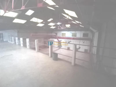 Local commercial - 584 m²