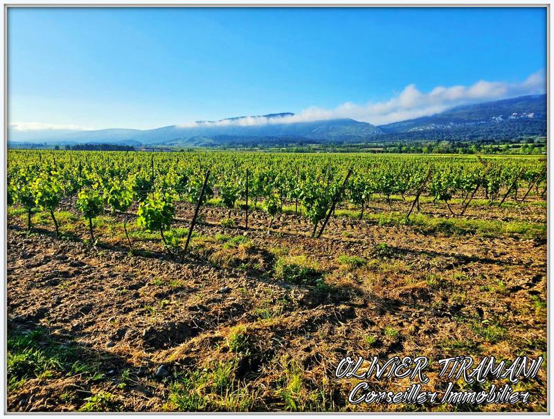 Maison de domaine - 270 m²