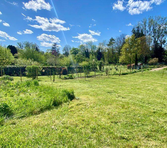 Terrain constructible - 1 000 m²