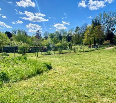 Terrain constructible - 1 000 m²