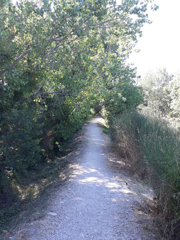 Randonnée commentée : Village de pêcheurs, pavillon de chasse et observatoire du milieu naturel