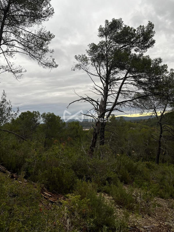 Terrain - 14 680 m²