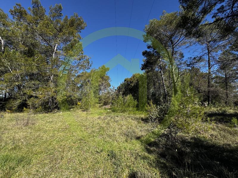 Terrain agricole - 10 000 m²