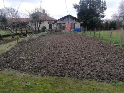 Maison - 20 m² - 1 pièce