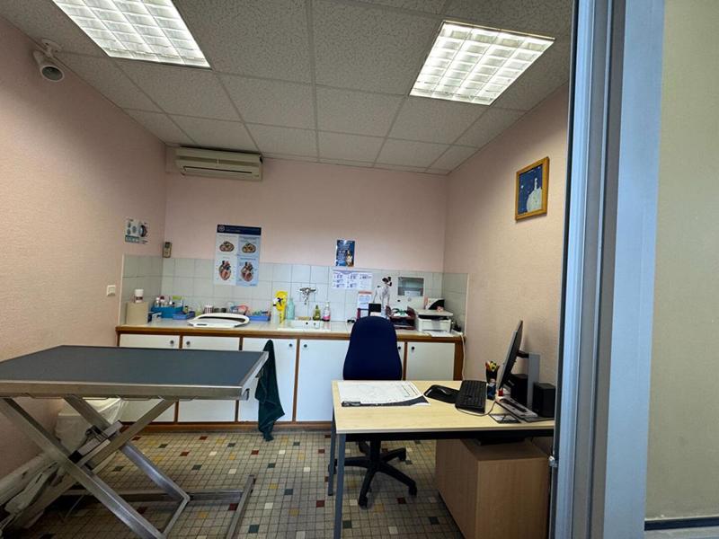 Immeuble - 240 m² - 10 pièces