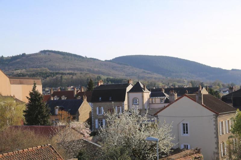 Hôtel particulier - 583 m² - 14 pièces