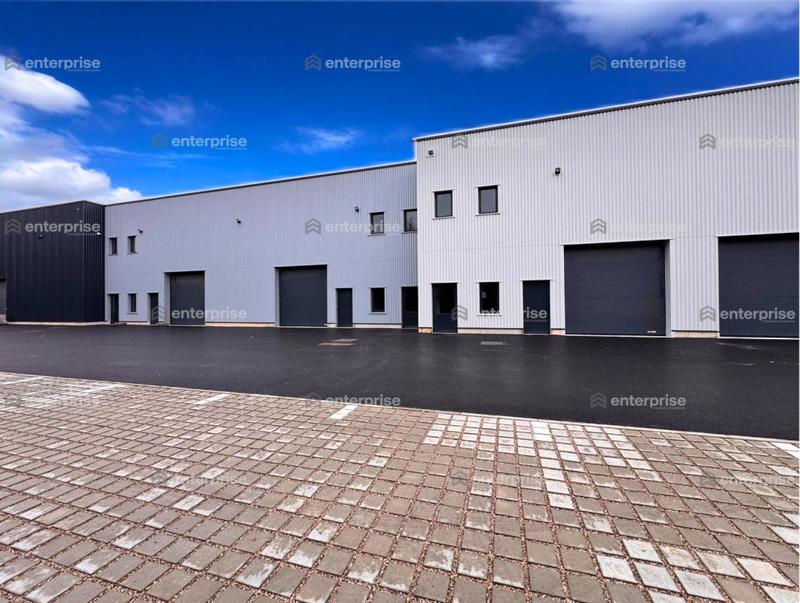 Local d'activité / Entrepôt - 297 m²