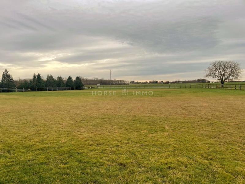 Maison de domaine équestre - 230 m² - 7 pièces