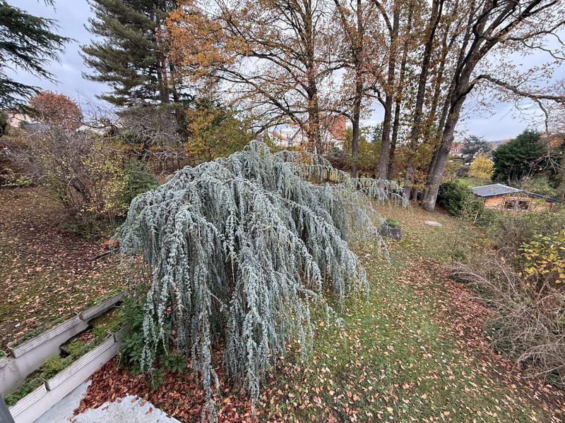 Maison - 181 m² - 7 pièces