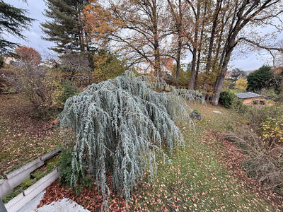 Maison - 181 m² - 7 pièces