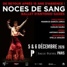 Noces de Sang - un Ballet d'Antonio Gades &amp; Carlos Saura - Salle Pleyel, Paris