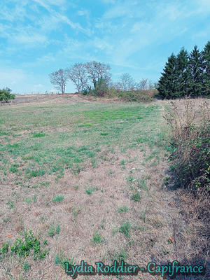 Terrain constructible - 2 710 m²