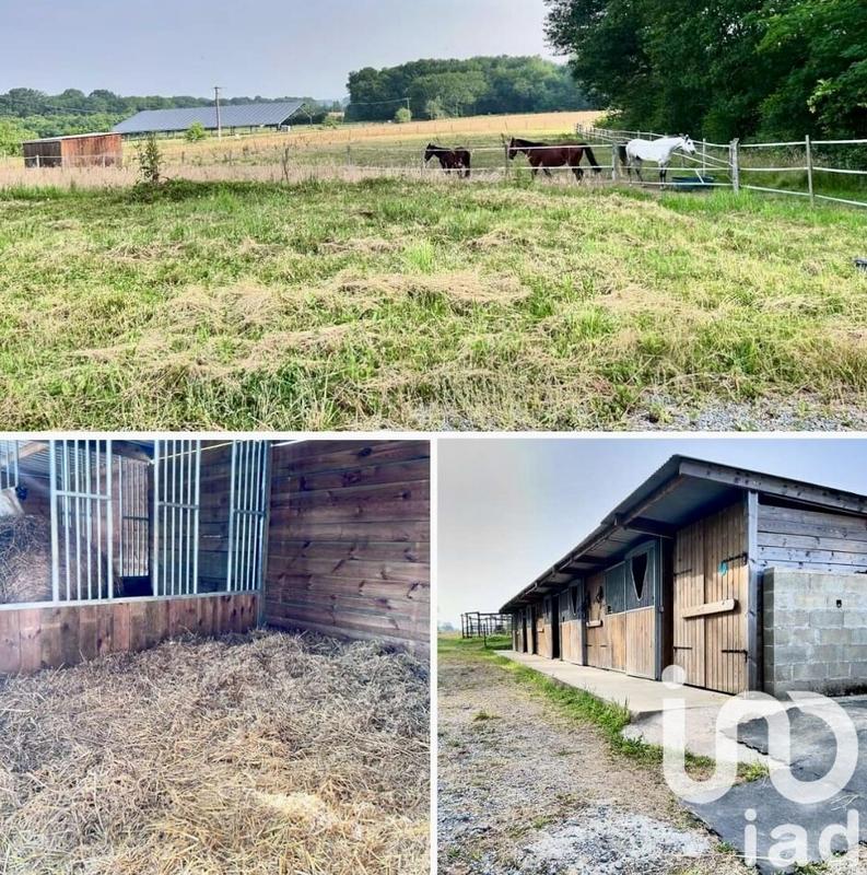 Maison - 110 m² - 5 pièces