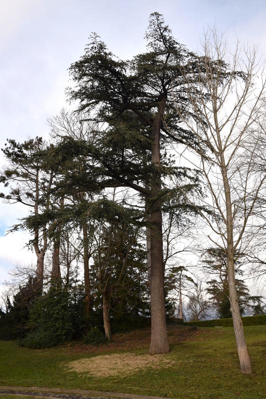 Appartement - 92 m² - 4 pièces