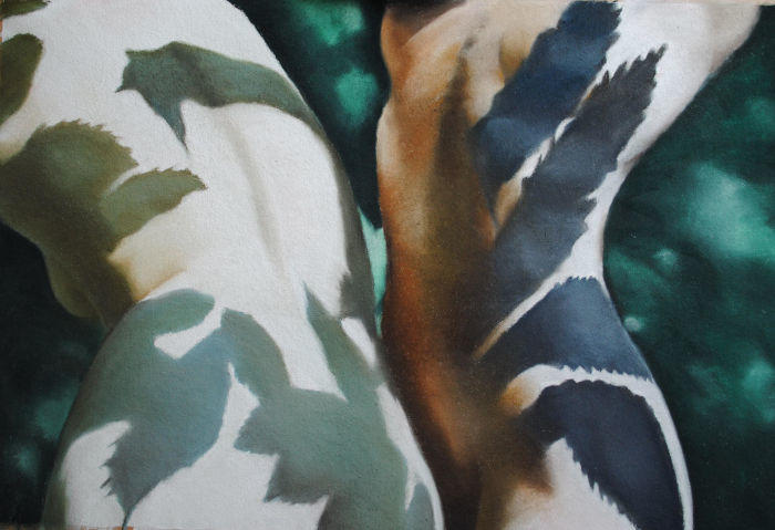 Stage de pastel avec Michel Leclercq