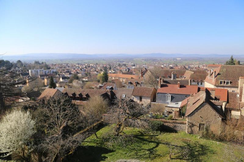 Hôtel particulier - 350 m² - 13 pièces