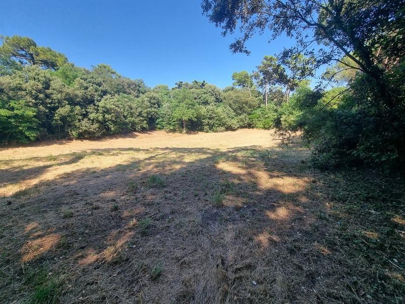 Terrain constructible - 3 058 m²