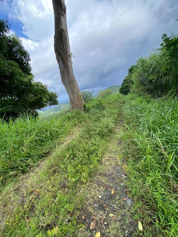 Terrain - 10 800 m²