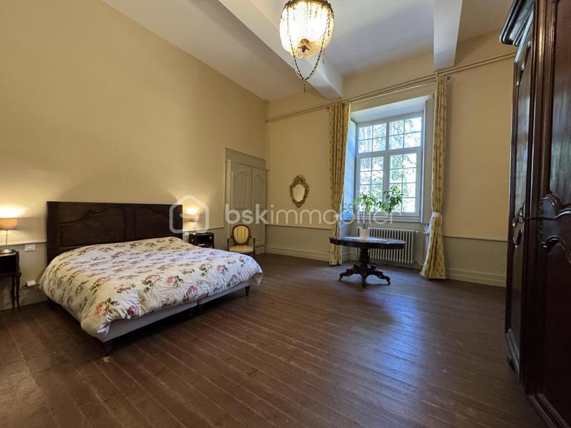 Château - 575 m² - 13 pièces