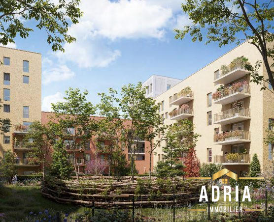 Appartement - 19 m² - 1 pièce