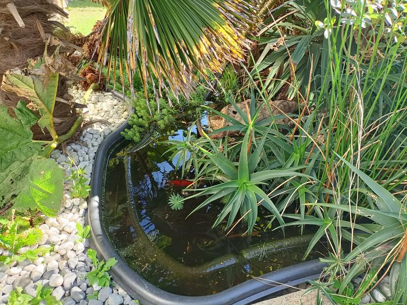 Maison traditionnelle - 82 m² - 4 pièces